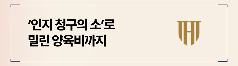 밀린양육비를 받아낼 수 있는 방법, 인지청구의 소 입니다