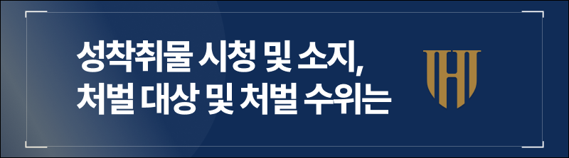 성착취물 시청 및 소지, 처벌 대상 및 처벌 수위는