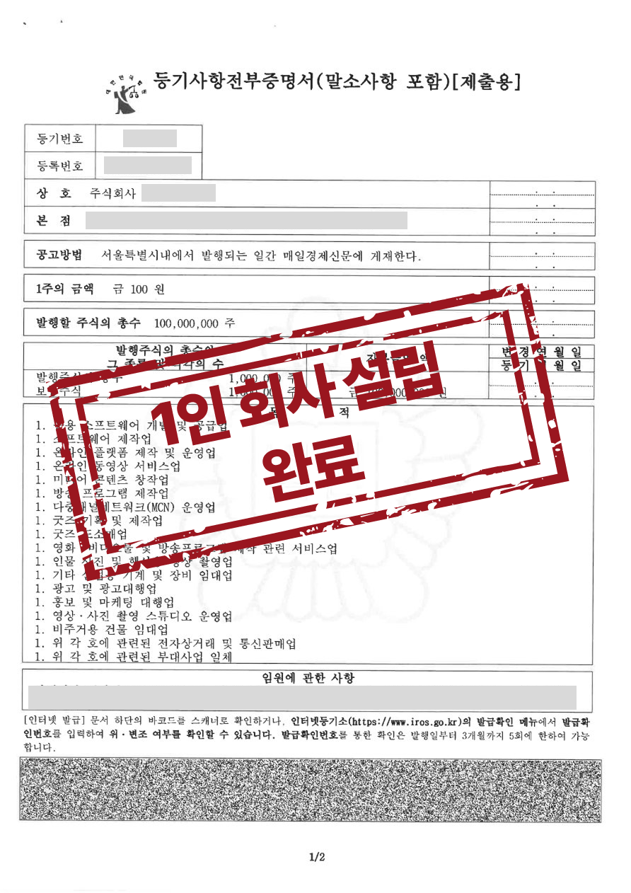 IT 플랫폼 및 미디어 콘텐츠 주식회사 설립등기 완료